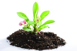 价格监测进阶技巧：高手都在用的方法